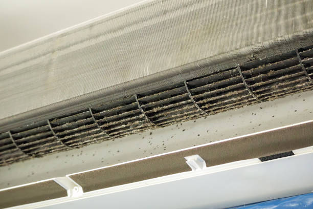 Air Duct Mold Removal in Oelwein, IA